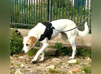 Bimba, schon ziemlich eigenständig