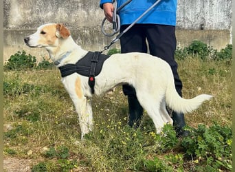 Bimba, schon ziemlich eigenständig