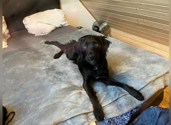 Fredi auf der Suche auf einer Endstelle