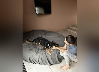 Wunderbare Michelle sucht ihre Familie