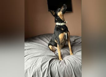 Wunderbare Michelle sucht ihre Familie