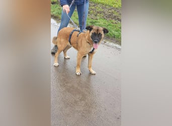 Kleiner Thore, superlieb