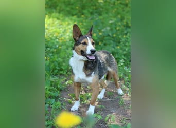 Nick - Bringt Farbe in jedes Leben (Ukraine)