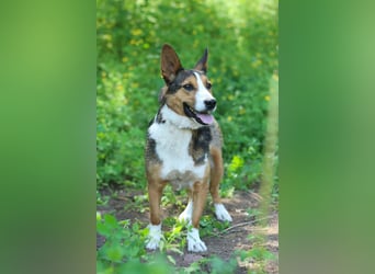 Nick - Bringt Farbe in jedes Leben (Ukraine)