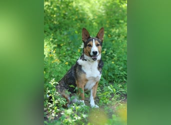 Nick - Bringt Farbe in jedes Leben (Ukraine)