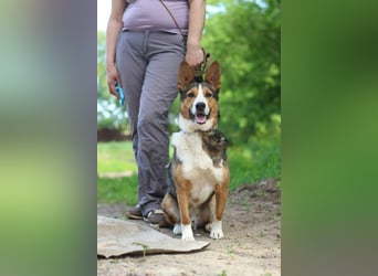 Nick - Bringt Farbe in jedes Leben (Ukraine)