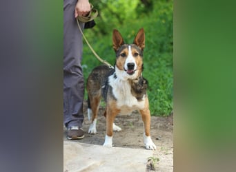 Nick - Bringt Farbe in jedes Leben (Ukraine)