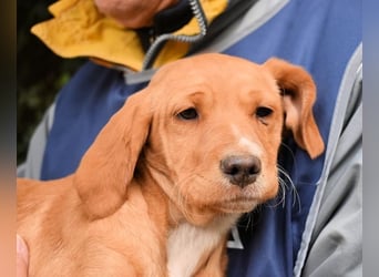 Wixelle - Als Mama noch bei uns war