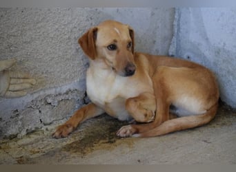 Bendix - wenn du mutig bist, dann bin ich es auch!