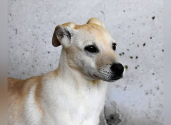 Elaro - gesucht: ein Post-it mit "Sicherheit"