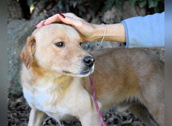 Burke - Der sanfte Bruder mit dem warmen Blick