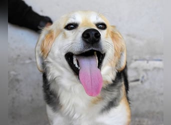 Fioralba - Fantastisches Powerpaket mit Freundlichkeitsbonus