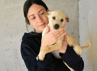 Sniffy - ...und Sirette halten zusammen