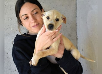 Sniffy - ...und Sirette halten zusammen