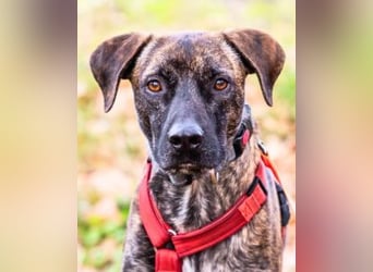 Branson - taut langsam auf und sucht Menschen mit Zeit