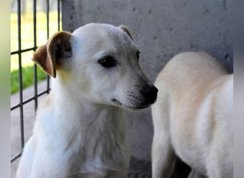 Elvio - seine Mut-Münzen sind fast aufgebraucht