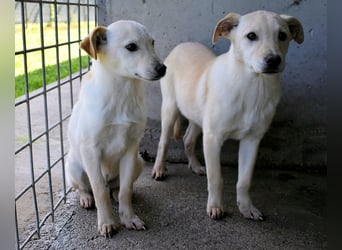 Elvio - seine Mut-Münzen sind fast aufgebraucht