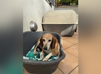 Silke - Zehn Jahre Stärke, jetzt ist sie an der Reihe