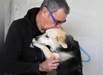 Fioralba - Fantastisches Powerpaket mit Freundlichkeitsbonus