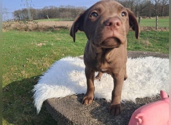 Liva - Also ehrlich, wir sind doch nur Babys!