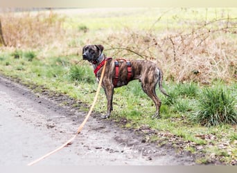 Branson - taut langsam auf und sucht Menschen mit Zeit