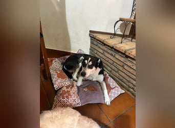 Nikita - Still, übersehen und dabei so besonders