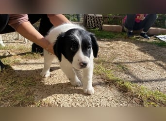 Imma - Neunmal werden wir noch wach...