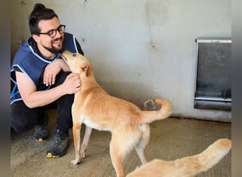Boris - Wie lange würdest du das aushalten?