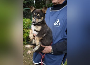 Vionella - Kuckuck...hallo...sind da draußen Menschen?