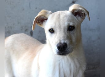 Elaro - gesucht: ein Post-it mit "Sicherheit"