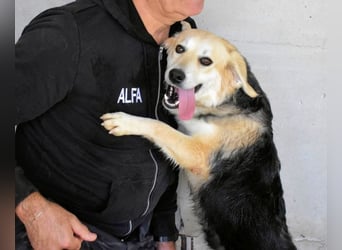 Fioralba - Fantastisches Powerpaket mit Freundlichkeitsbonus