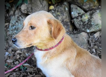 Burke - Der sanfte Bruder mit dem warmen Blick