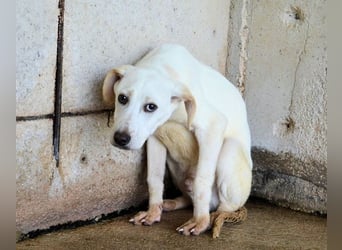 Radford - Ein Anfang, der nie kam