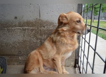 Ferelith - Was wäre, wenn....