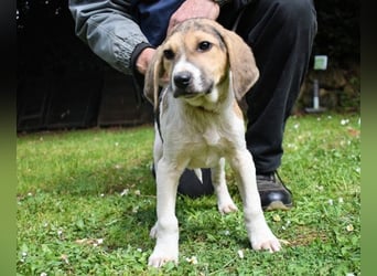 Wasker - Als Mama noch bei uns war