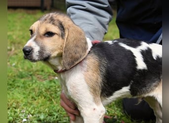 Wasker - Als Mama noch bei uns war