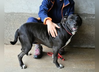 Perlyn - Charmante Ex-Sommerfigur mit Modelpotenzial