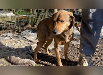 Kiro - Einmal alles auf (Neu)Anfang bitte!