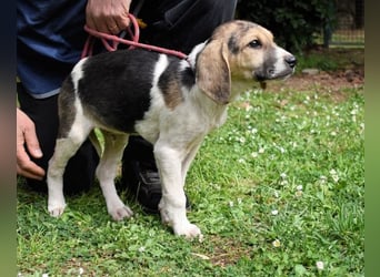 Wasker - Als Mama noch bei uns war