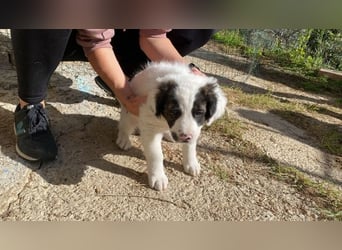 Ingo - Neunmal werden wir noch wach...