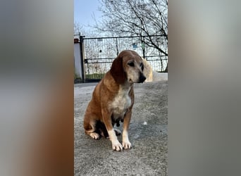 Silke - Zehn Jahre Stärke, jetzt ist sie an der Reihe