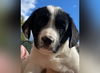 Irina - Neunmal werden wir noch wach...