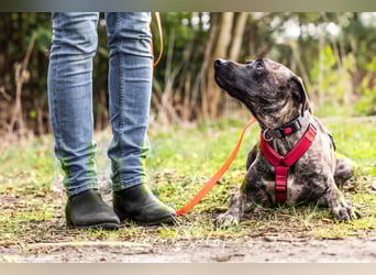 Branson - taut langsam auf und sucht Menschen mit Zeit