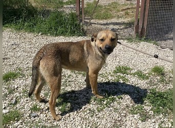 Faudor - Bist du die letzte Station meiner Odyssee?