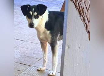 Nikita - Still, übersehen und dabei so besonders