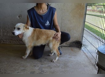 Simbad - Ein verlässlicher Partner...