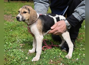 Wasker - Als Mama noch bei uns war