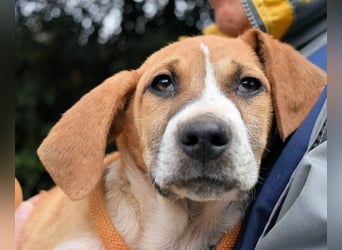 Waylo - Als Mama noch bei uns war