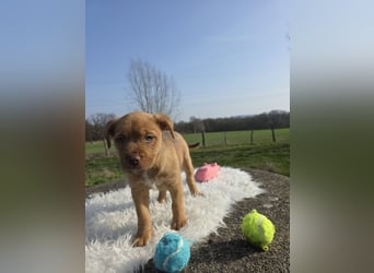 Linou - Also ehrlich, wir sind doch nur Babys!