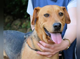 Linnea - Hauptsache ihr großes Herz passt in`s Körbchen